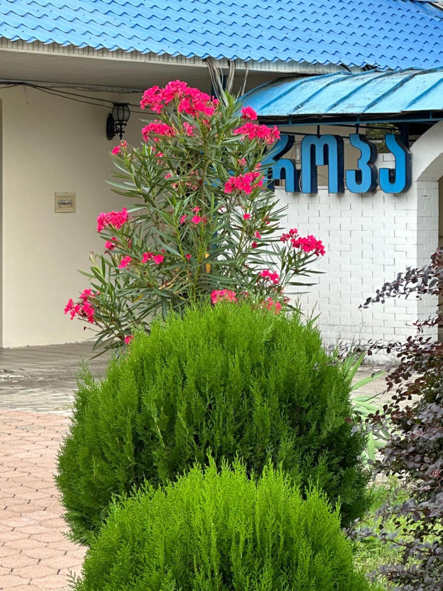 Europa Hotel-Kutaiszi Kültér fotó